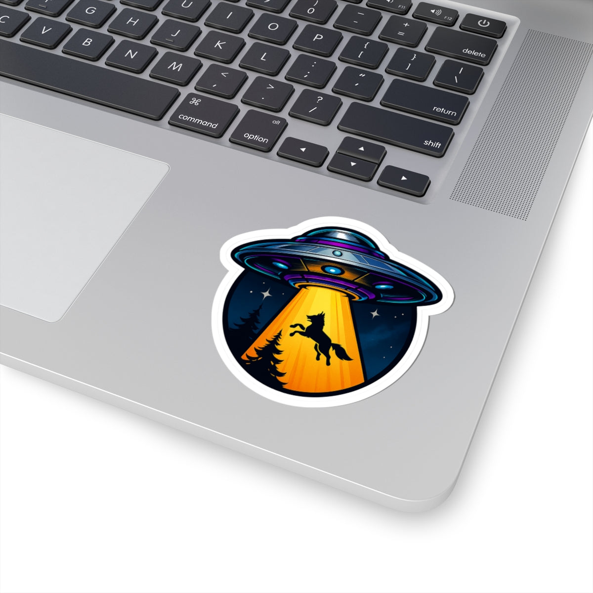 Barking Up The Wrong Spaceship