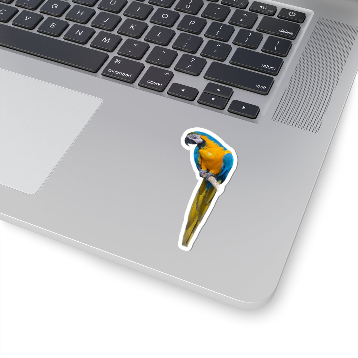 Polly Ain't Saying Sh*t