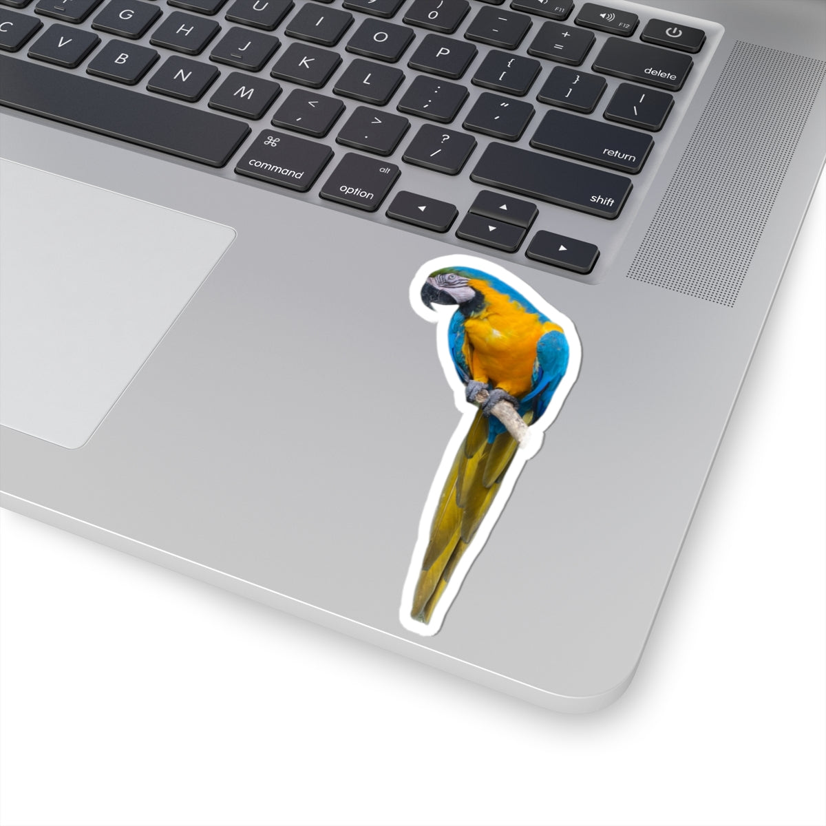 Polly Ain't Saying Sh*t