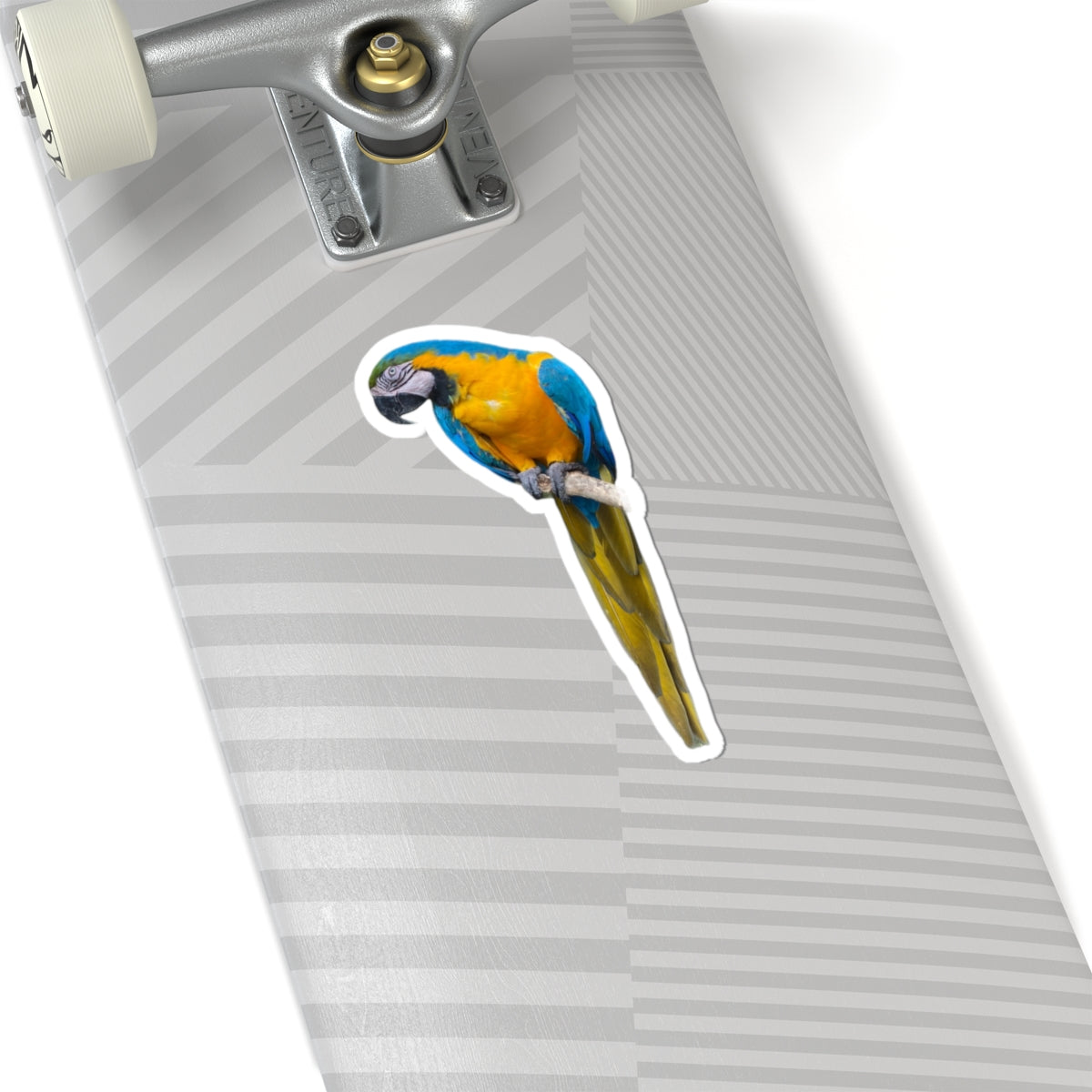 Polly Ain't Saying Sh*t