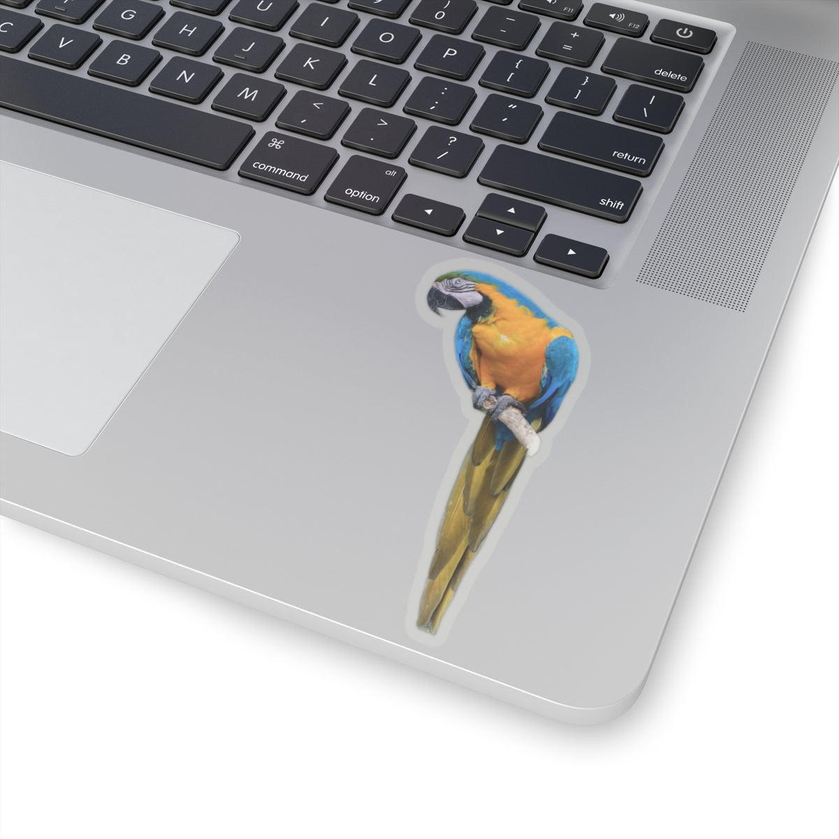 Polly Ain't Saying Sh*t