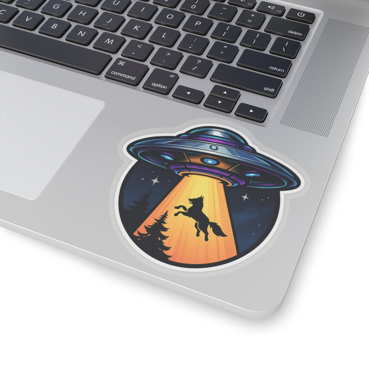 Barking Up The Wrong Spaceship