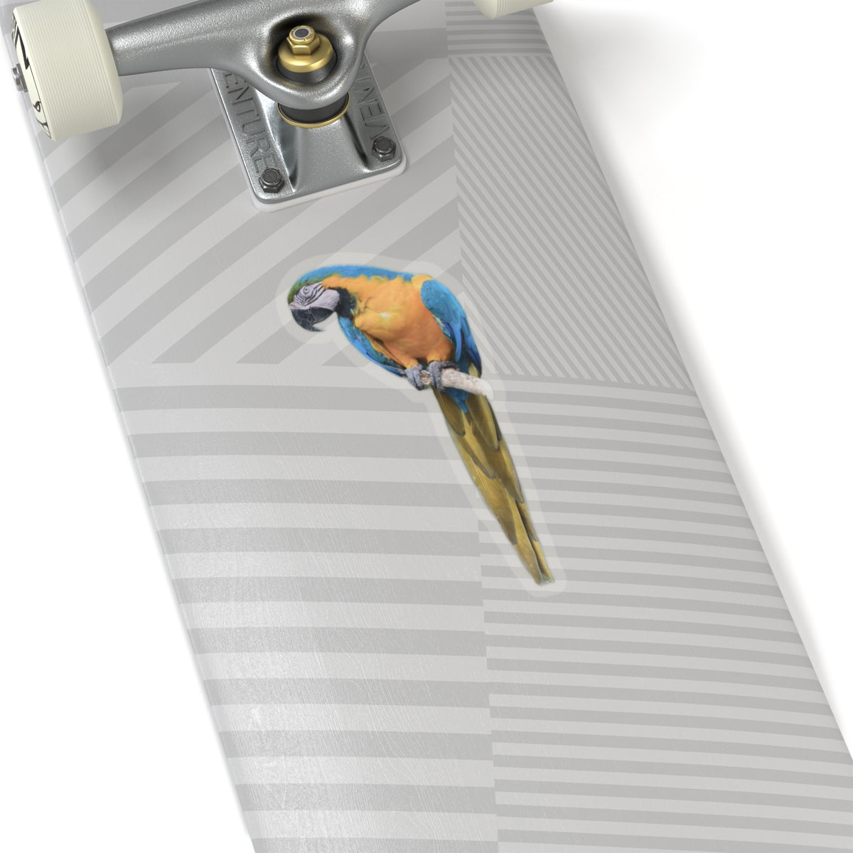 Polly Ain't Saying Sh*t